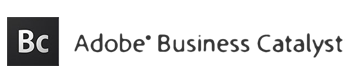Business Catalyst logo